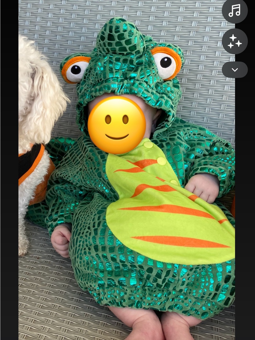 Green chameleon Baby Costume - Kids Costume